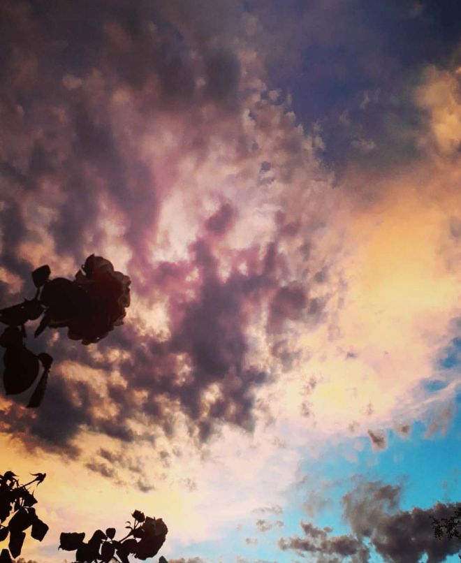 After the storm_1080