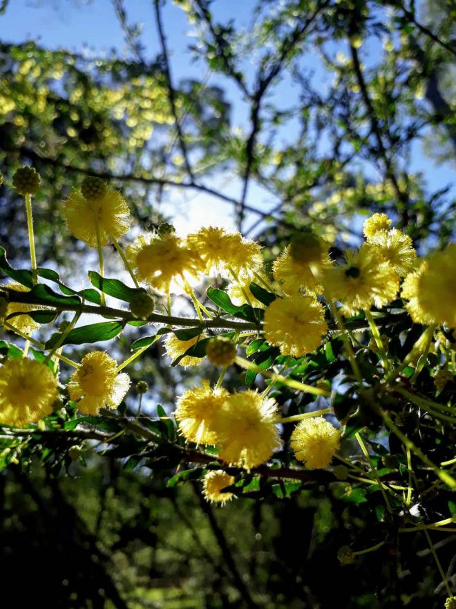 Nature_1080