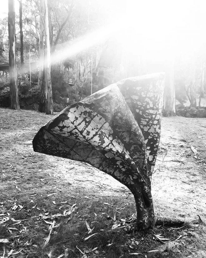 Ray of sunshine_1080