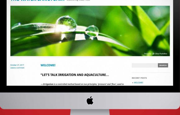 The Water Sanctuary website