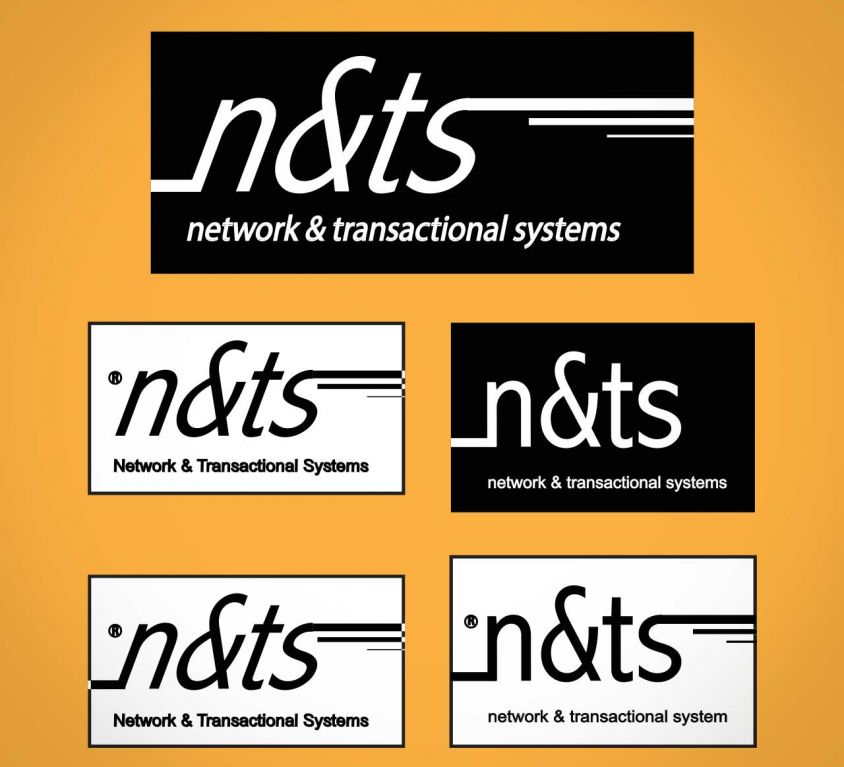 N&TS Network (logo)